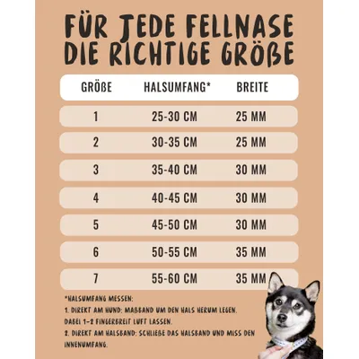 Rudelkönig Hundehalsband Bella & Paola gepolstert & robust