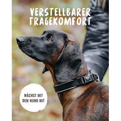 Rudelkönig Hundehalsband Bella & Paola gepolstert & robust