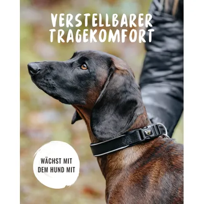 Rudelkönig Hundehalsband Bella & Paola gepolstert & robust