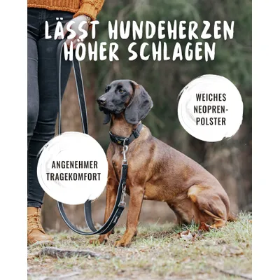 Rudelkönig Hundehalsband Bella & Paola gepolstert & robust