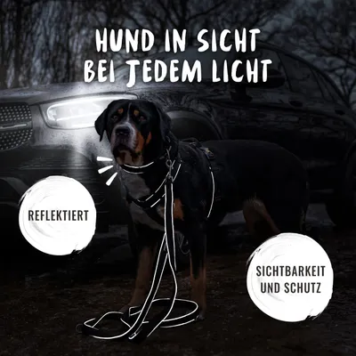 Rudelkönig Hundehalsband Bella & Paola gepolstert & robust