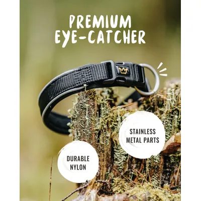 Rudelkönig Collier pour chien Paola réfléchissant réglable Rudelkönig Collier pour chien Paola réfléchissant réglable