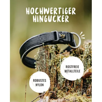 Rudelkönig Hundehalsband Bella & Paola gepolstert & robust
