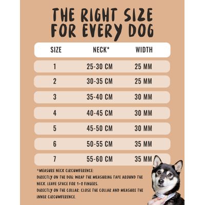 Rudelkönig Collier pour chien Paola réfléchissant réglable