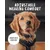 Rudelkönig Collier pour chien Paola réfléchissant réglable Rudelkönig Collier pour chien Paola réfléchissant réglable