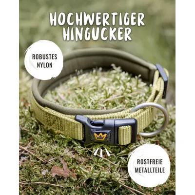 Rudelkönig Hundehalsband Bella & Paola gepolstert & robust Rudelkönig Hundehalsband Bella & Paola gepolstert & robust