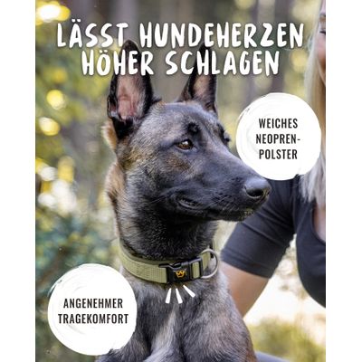 Rudelkönig Hundehalsband Bella & Paola gepolstert & robust