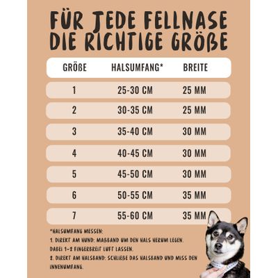 Rudelkönig Hundehalsband Bella & Paola gepolstert & robust