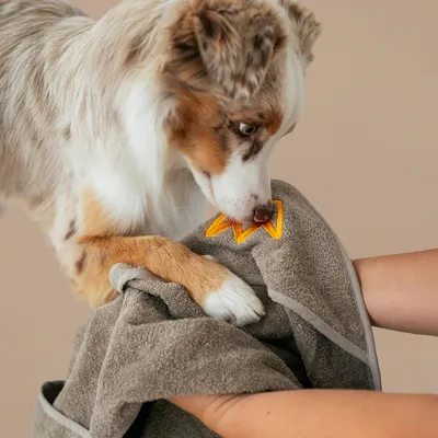 Rudelkönig Serviette premium pour chien en coton