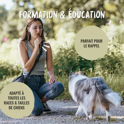 Rudelkönig Sifflet pour chien professionnel Rudelkönig Sifflet pour chien professionnel