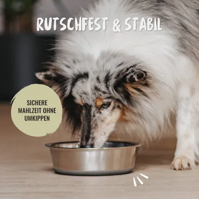Rudelkönig Edelstahl 2er Set Hundenapf BPA-frei rutschfest