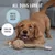 Rudelkönig Jouet corde chien 3 pièces Rudelkönig Jouet corde chien 3 pièces