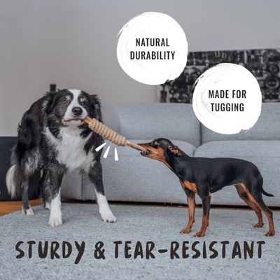 Rudelkönig Jouet corde chien 3 pièces