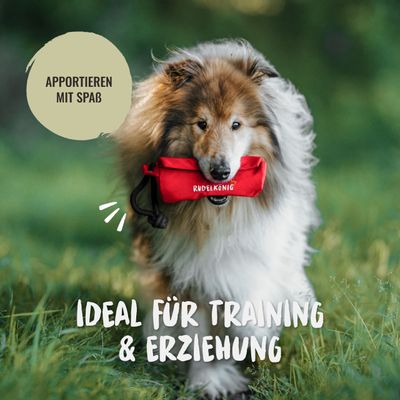 Rudelkönig Futterdummy für Apportiertraining Hunde
