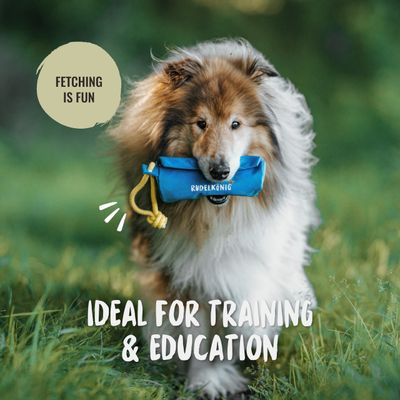 Rudelkönig Dummy Apport pour chien