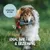 Rudelkönig Dummy Apport pour chien Rudelkönig Dummy Apport pour chien