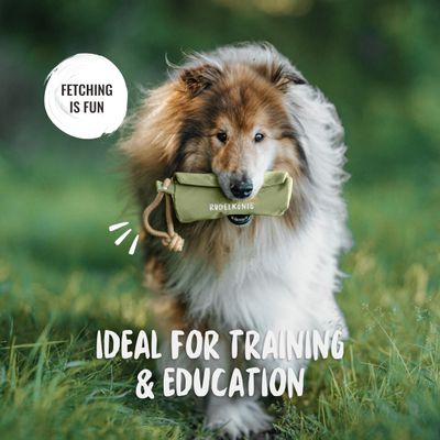 Rudelkönig Dummy Apport pour chien