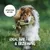 Rudelkönig Futterdummy für Apportiertraining Hunde Rudelkönig Futterdummy für Apportiertraining Hunde