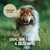 Rudelkönig Futterdummy für Apportiertraining Hunde Rudelkönig Futterdummy für Apportiertraining Hunde