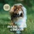 Rudelkönig Dummy Apport pour chien Rudelkönig Dummy Apport pour chien