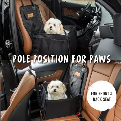 Rudelkönig Siège auto pour chiens rembourré Rudelkönig Siège auto pour chiens rembourré