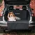 Rudelkönig Protection pour coffre de voiture Rudelkönig Protection pour coffre de voiture