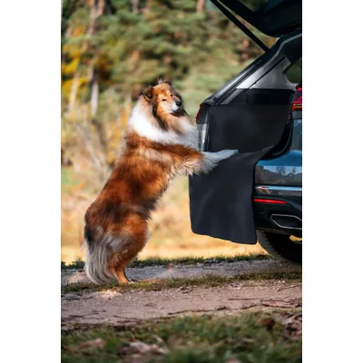 Rudelkönig Protection pour coffre de voiture Rudelkönig Protection pour coffre de voiture