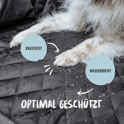 Rudelkönig Autoschondecke für Hunde mit Seitenschutz Rudelkönig Autoschondecke für Hunde mit Seitenschutz