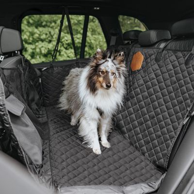 Rudelkönig Autoschondecke für Hunde mit Seitenschutz
