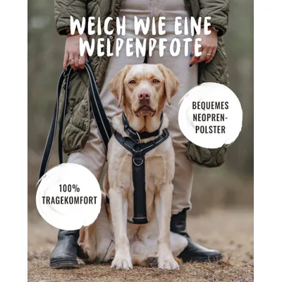 Rudelkönig Hundegeschirr Paola verstellbar, gepolstert, reflektierend