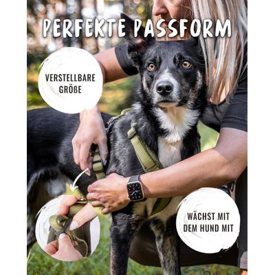 Rudelkönig Hundegeschirr Bella gepolstert und verstellbar