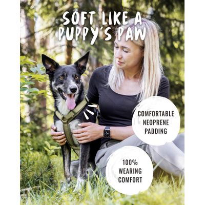 Rudelkönig Harnais pour chien Bella réglable rembourré