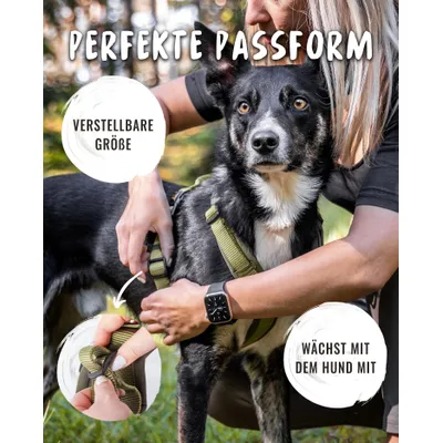 Rudelkönig Hundegeschirr Bella gepolstert und verstellbar