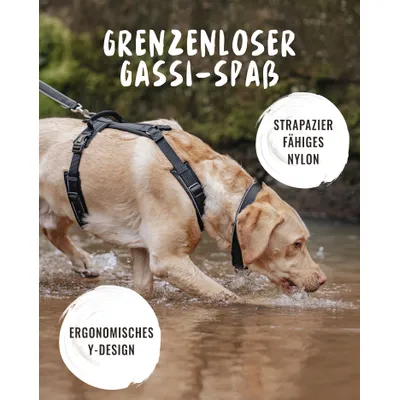 Rudelkönig Hundegeschirr Paola verstellbar, gepolstert, reflektierend