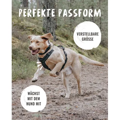 Rudelkönig Hundegeschirr Paola verstellbar, gepolstert, reflektierend