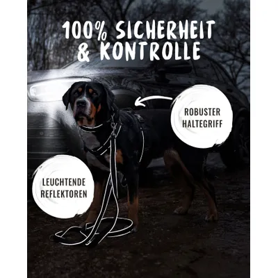 Rudelkönig Hundegeschirr Paola verstellbar, gepolstert, reflektierend