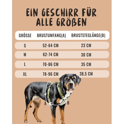 Rudelkönig Harnais pour chien Bella réglable rembourré