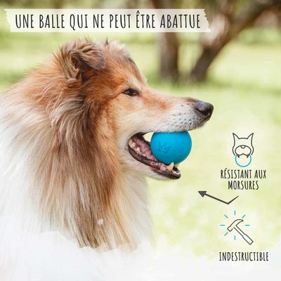 Rudelkönig Balle pour chien résistant