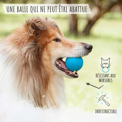 Rudelkönig Balle pour chien résistant Rudelkönig Balle pour chien résistant
