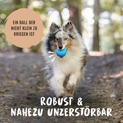 Rudelkönig Hundeball aus Naturkautschuk robust