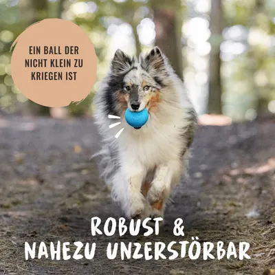 Rudelkönig Balle pour chien résistant Rudelkönig Balle pour chien résistant