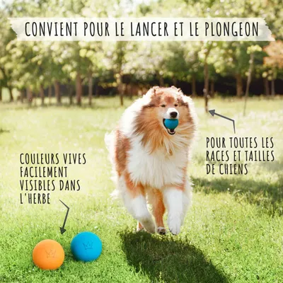 Rudelkönig Balle pour chien résistant Rudelkönig Balle pour chien résistant