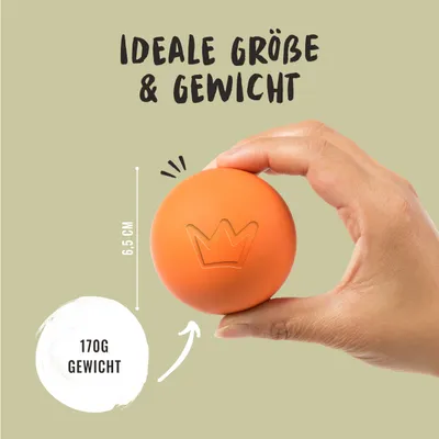 Rudelkönig Balle pour chien résistant