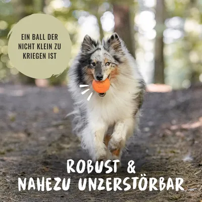 Rudelkönig Balle pour chien résistant
