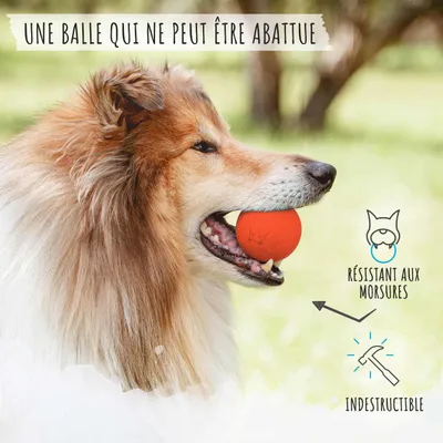 Rudelkönig Balle pour chien résistant Rudelkönig Balle pour chien résistant