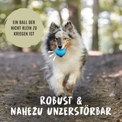 Rudelkönig Balle pour chien résistant Rudelkönig Balle pour chien résistant