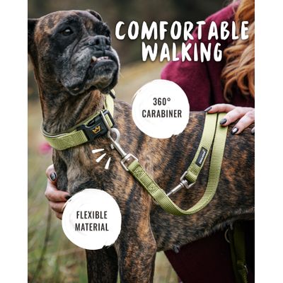 Rudelkönig Laisse pour chien Frida réglable