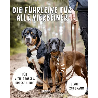 Rudelkönig Hundeleine gepolstert & robust Rudelkönig Hundeleine gepolstert & robust