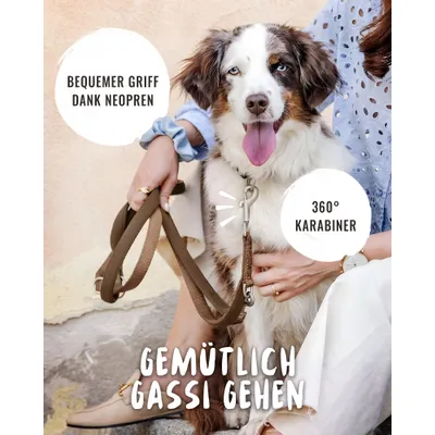 Rudelkönig Hundeleine gepolstert & robust Rudelkönig Hundeleine gepolstert & robust