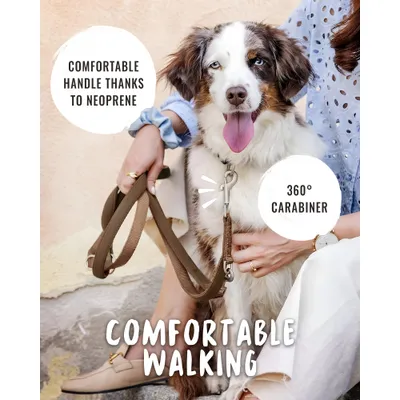 Rudelkönig laisse pour chien Bella reglable Rudelkönig laisse pour chien Bella reglable